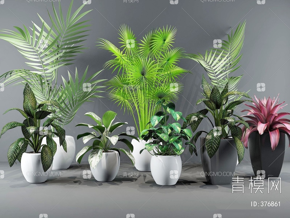 植物盆栽绿植3D模型下载【ID:376861】