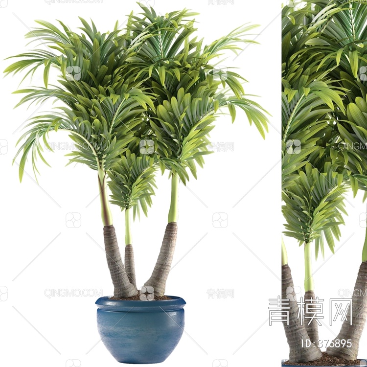 棕榈盆栽植物3D模型下载【ID:376895】