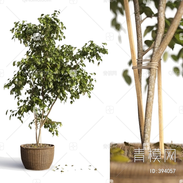 盆栽3D模型下载【ID:394057】