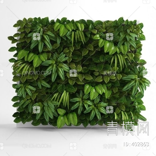 植物3D模型下载【ID:402863】