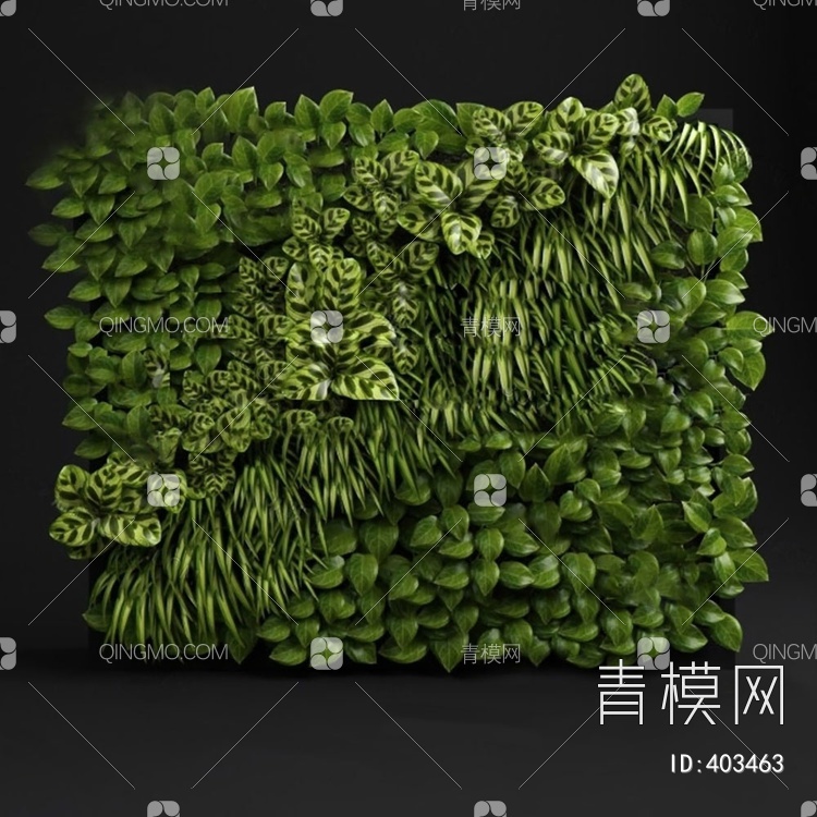 植物3D模型下载【ID:403463】