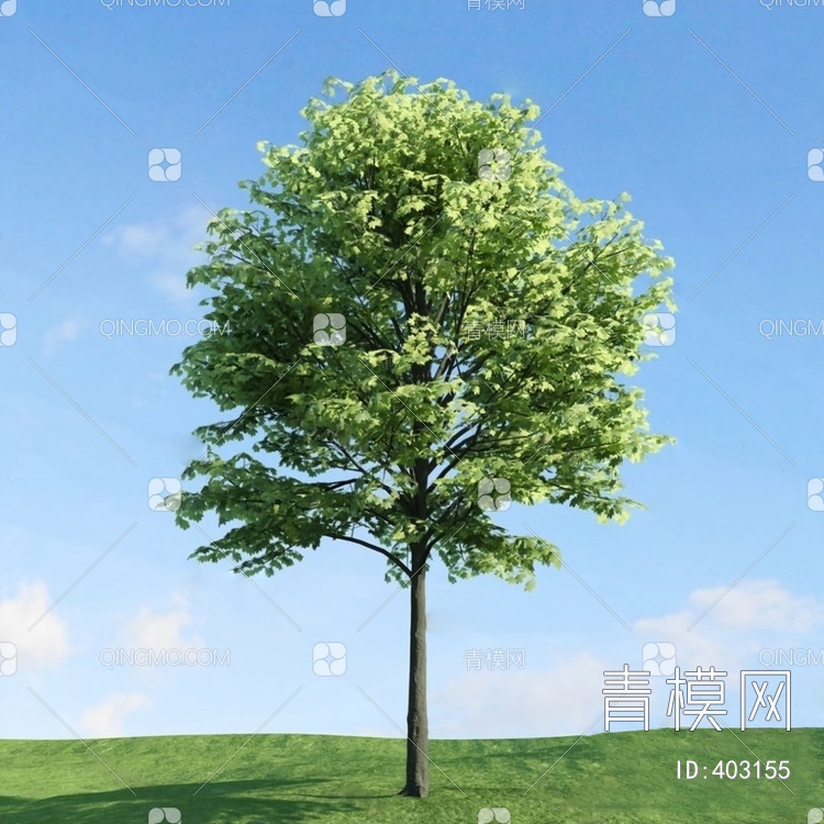 树3D模型下载【ID:403155】