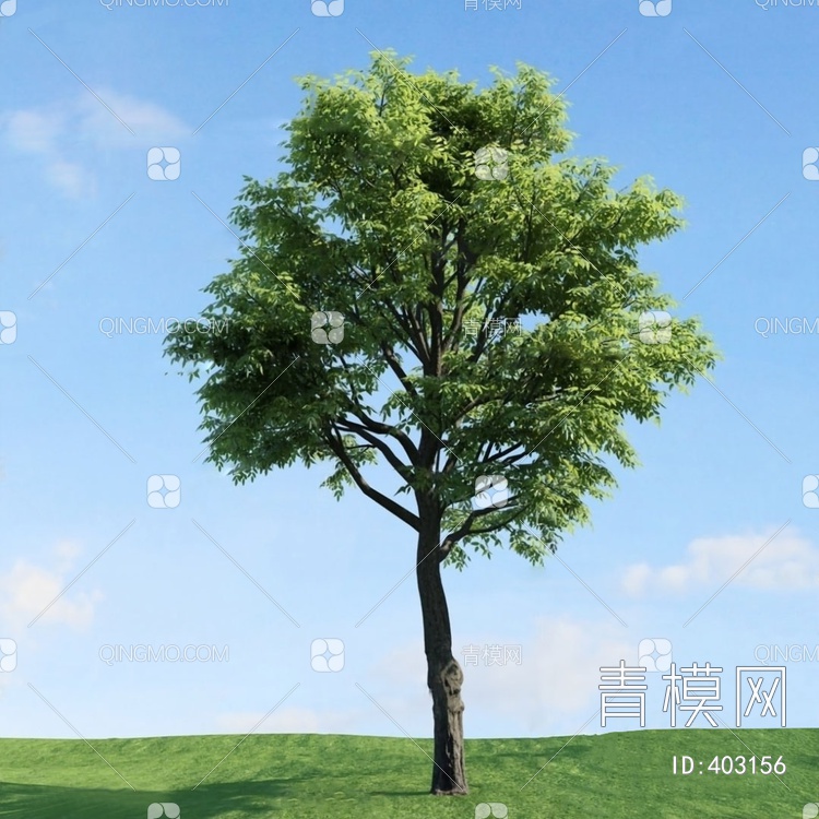 树3D模型下载【ID:403156】