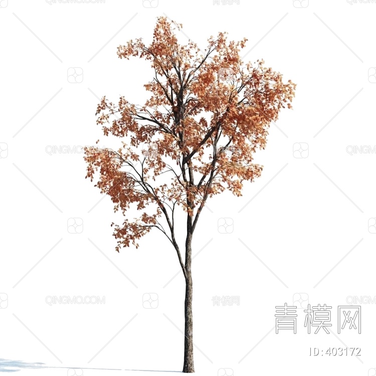 树3D模型下载【ID:403172】