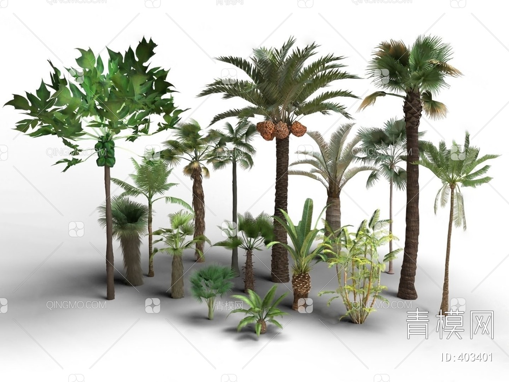 棕榈树3D模型下载【ID:403401】