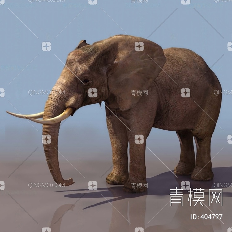 大象3D模型下载【ID:404797】