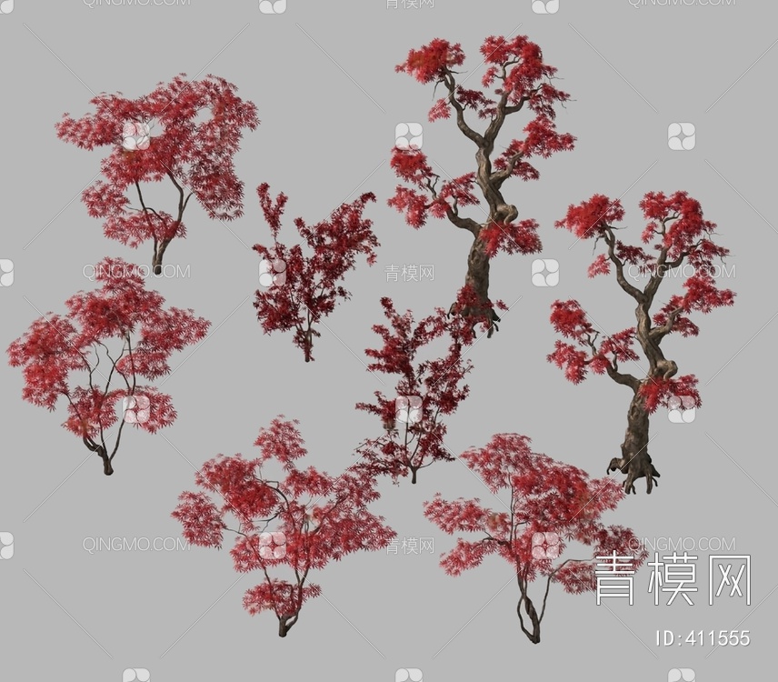 枫树3D模型下载【ID:411555】