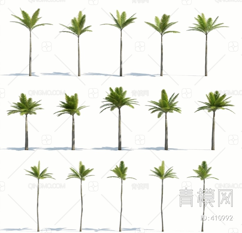 棕榈树3D模型下载【ID:410992】