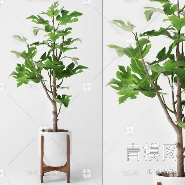 盆栽3D模型下载【ID:411939】