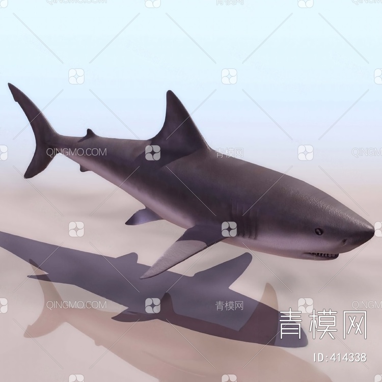 鲨鱼3D模型下载【ID:414338】
