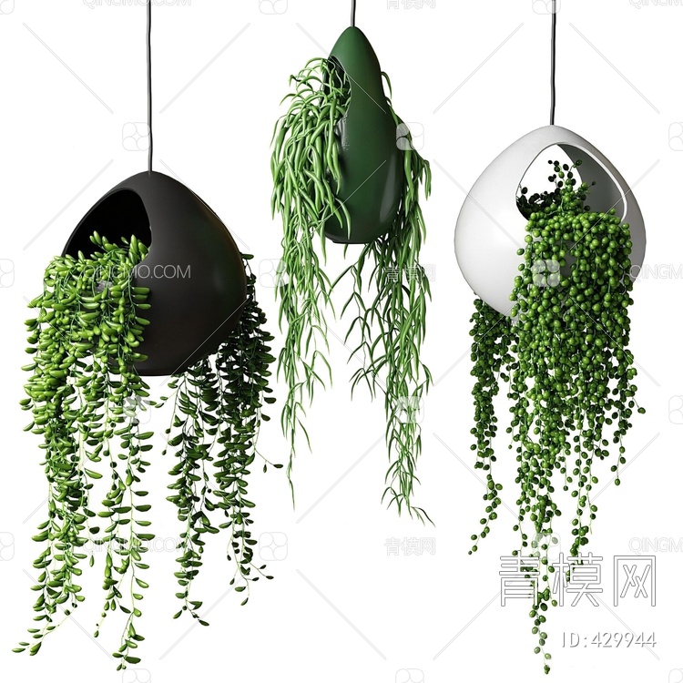 植物吊篮3D模型下载【ID:429944】