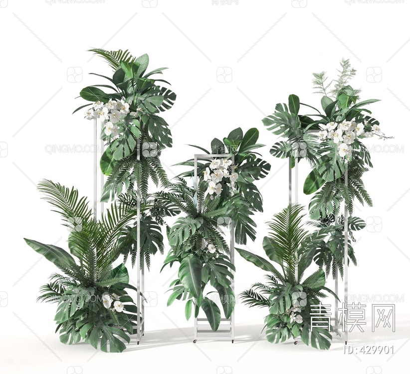 植物3D模型下载【ID:429901】