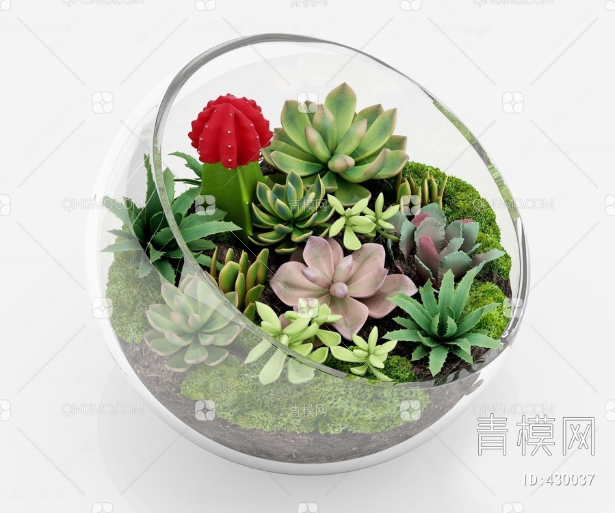 多肉植物小盆栽3D模型下载【ID:430037】