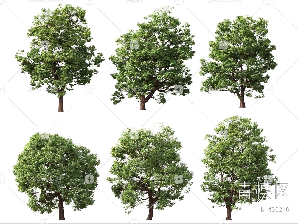 树木3D模型下载【ID:430210】