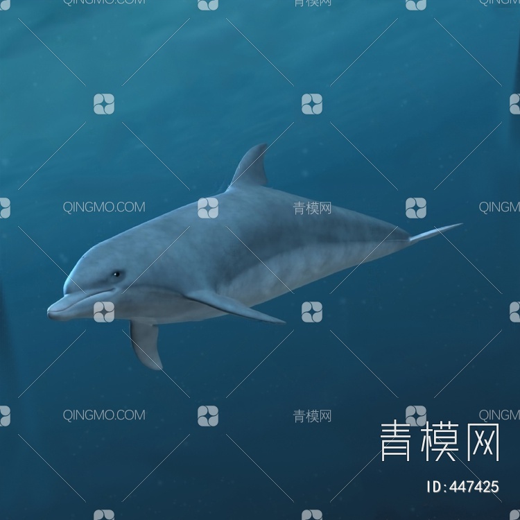 海豚3D模型下载【ID:447425】