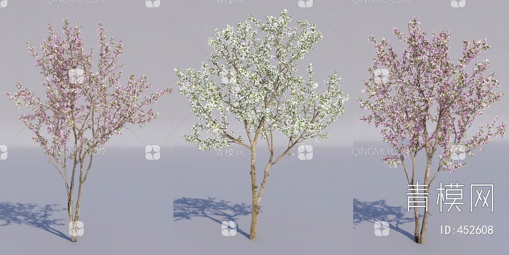 樱花树3D模型下载【ID:452608】