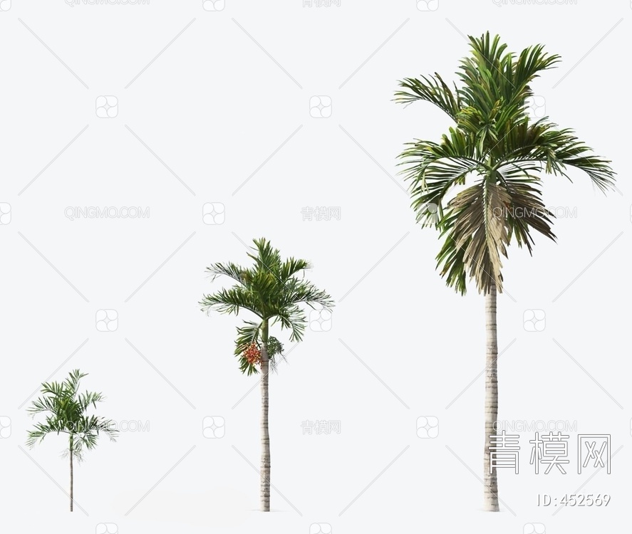棕榈树3D模型下载【ID:452569】