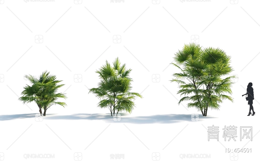棕榈树3D模型下载【ID:454501】