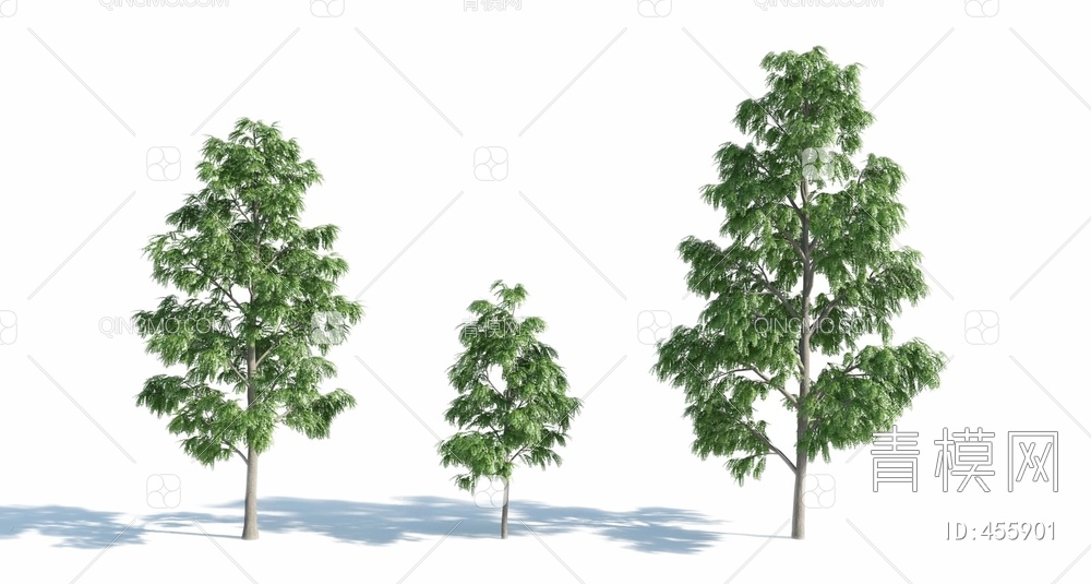树3D模型下载【ID:455901】
