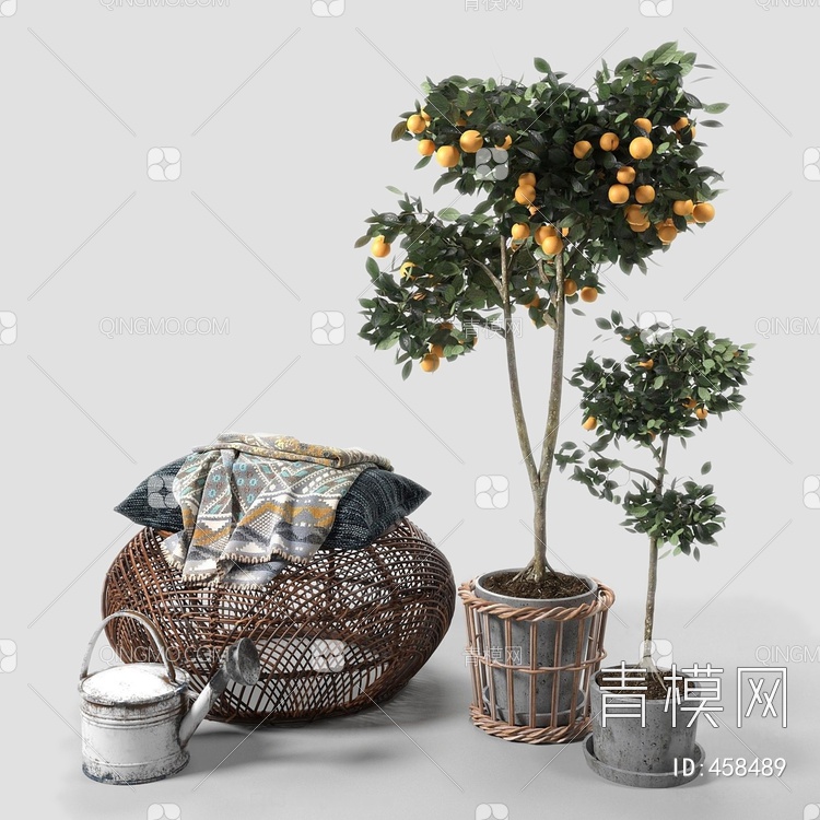 橘子树浇水壶组合3D模型下载【ID:458489】