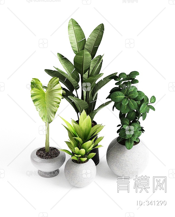 植物组合3D模型下载【ID:341290】