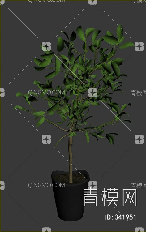 盆栽3D模型下载【ID:341951】