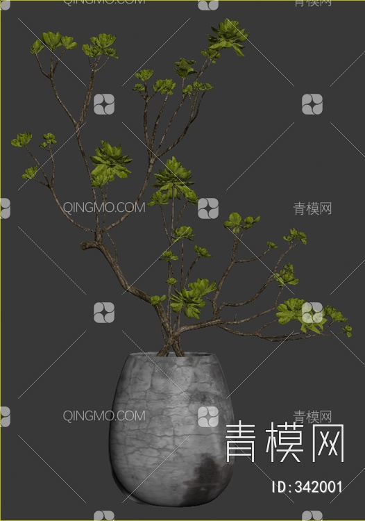 绿植盆栽组合3D模型下载【ID:342001】