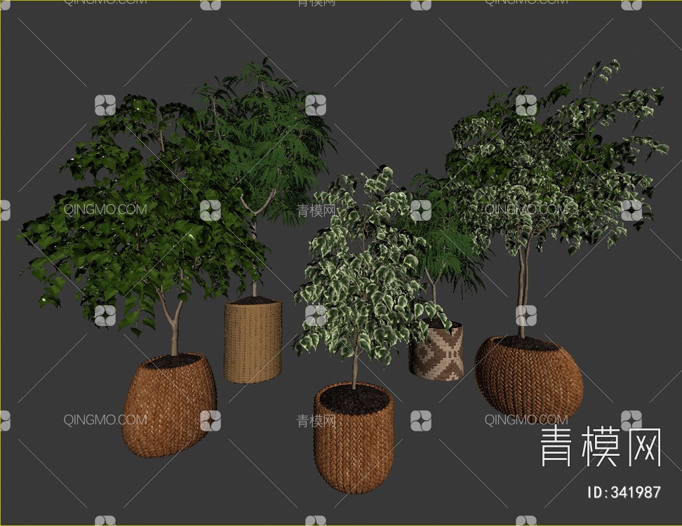 绿植盆栽组合3D模型下载【ID:341987】