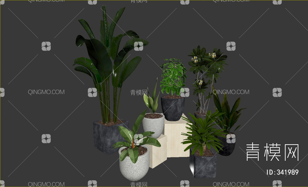 绿植盆栽组合3D模型下载【ID:341989】