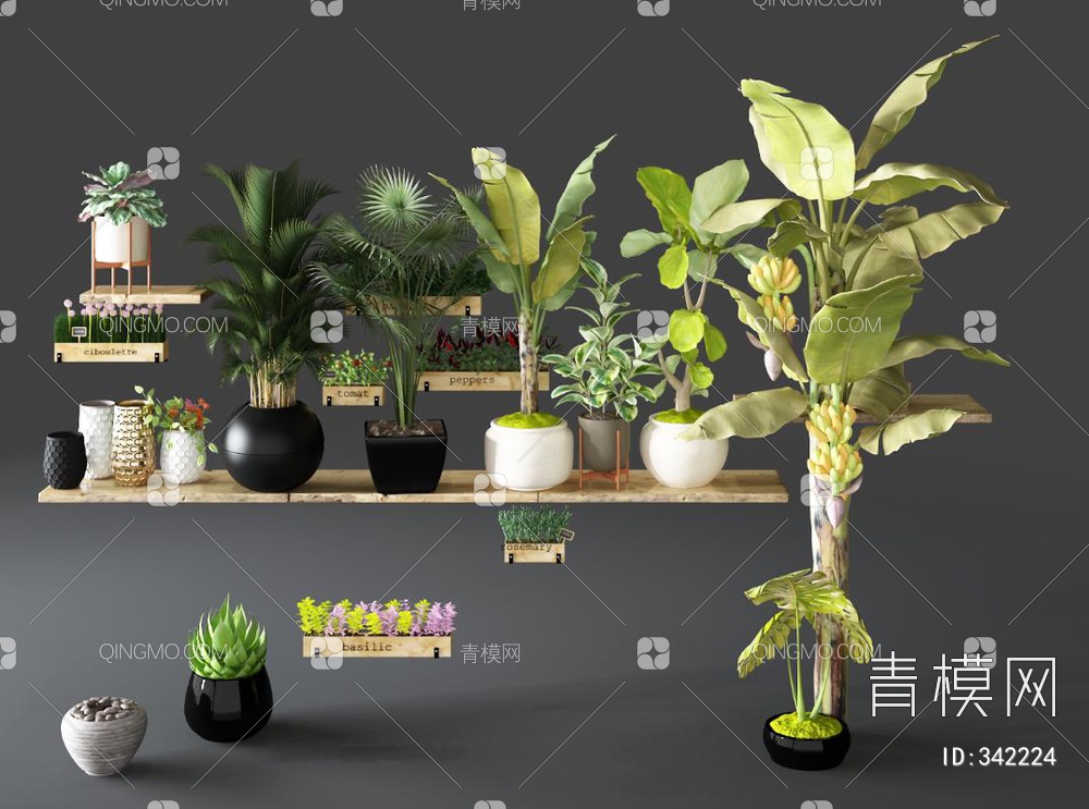 绿植盆栽组合3D模型下载【ID:342224】
