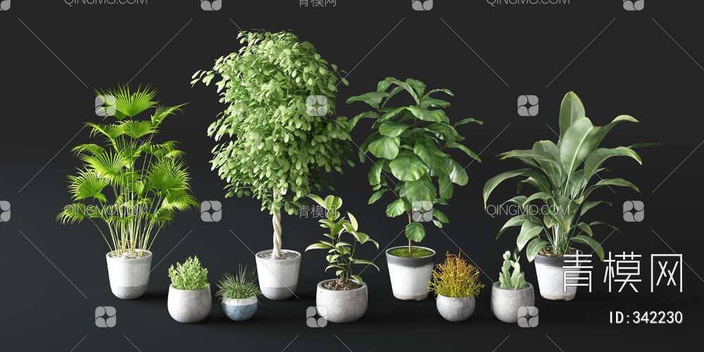 绿植盆栽组合3D模型下载【ID:342230】
