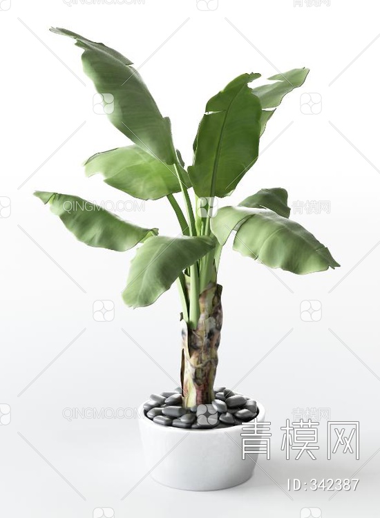 绿植盆栽3D模型下载【ID:342387】