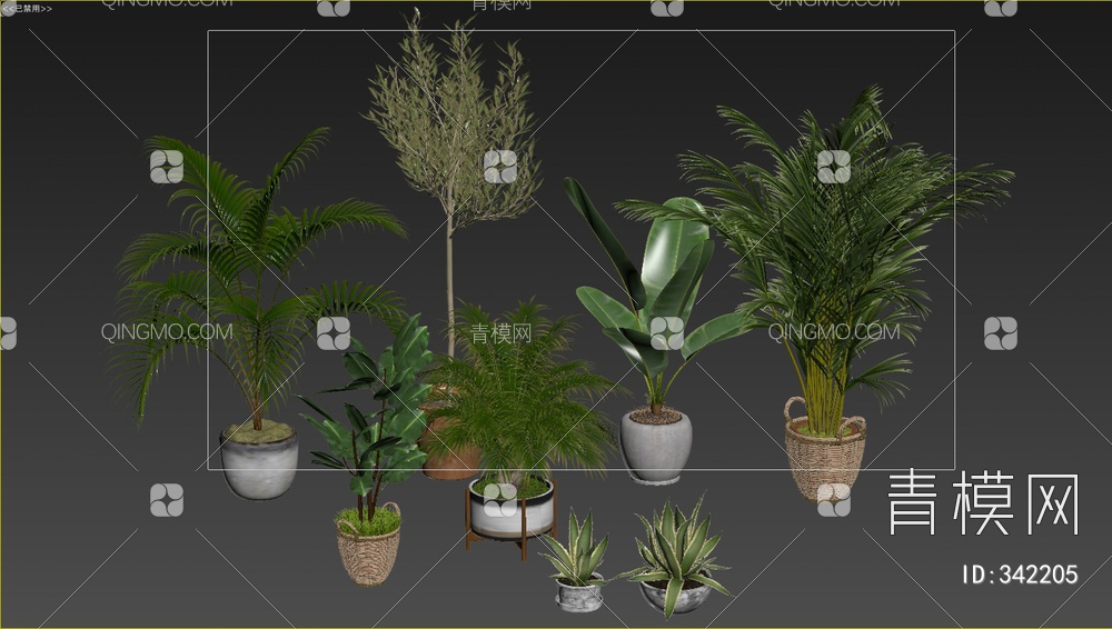 绿植盆栽组合3D模型下载【ID:342205】