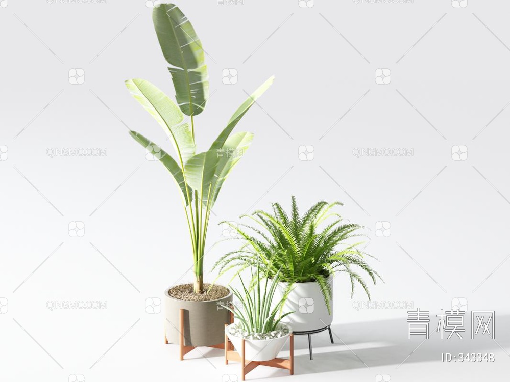 植物盆栽组合3D模型下载【ID:343348】