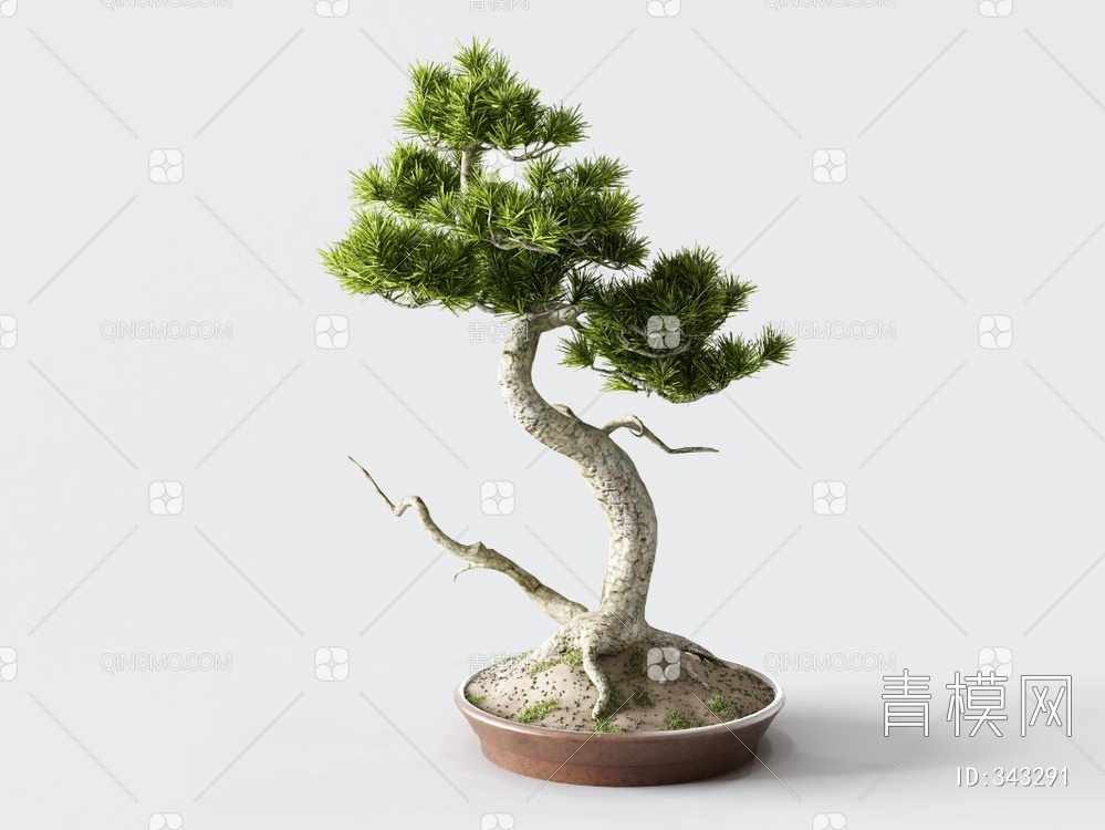 松树盆栽3D模型下载【ID:343291】
