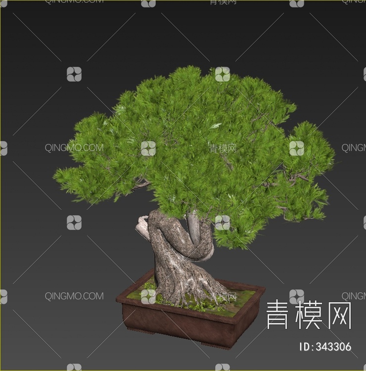 松树盆栽3D模型下载【ID:343306】