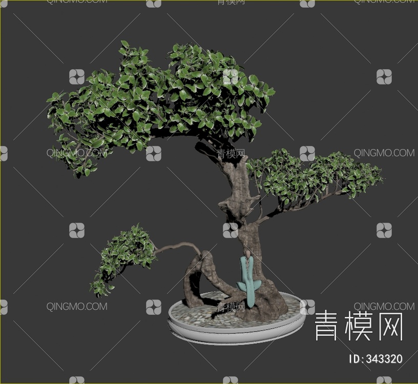 松树盆栽3D模型下载【ID:343320】