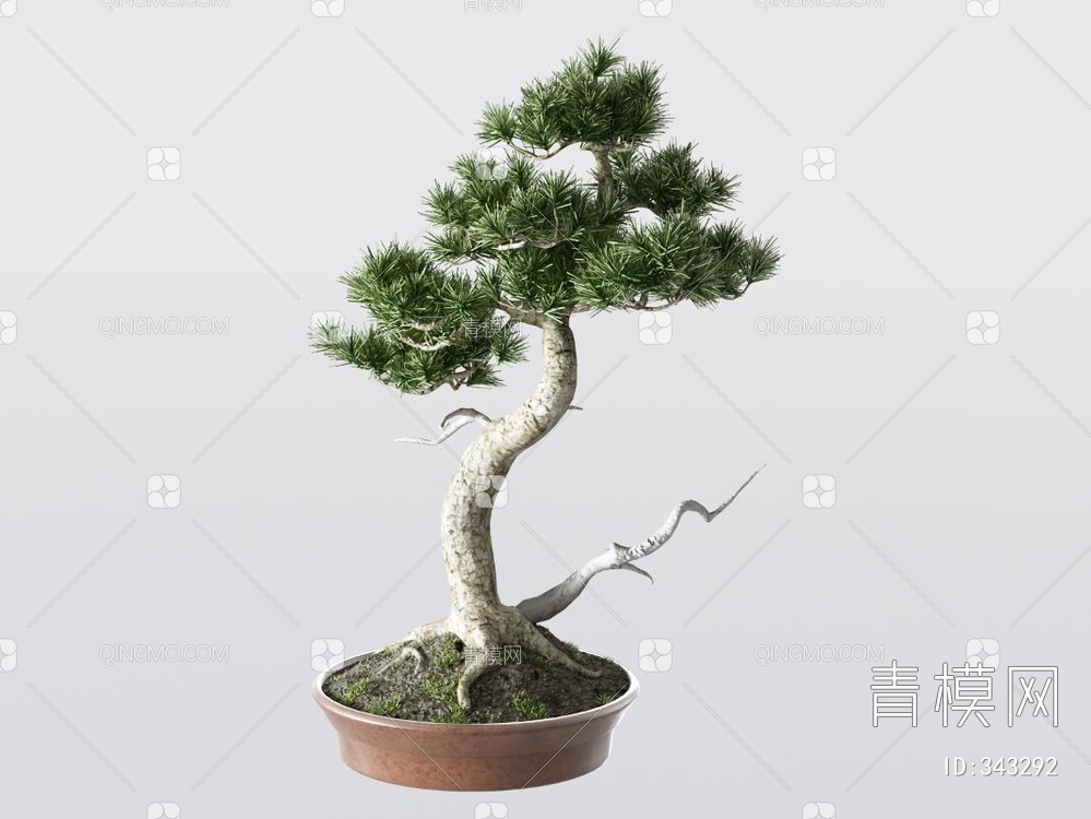松树盆栽3D模型下载【ID:343292】