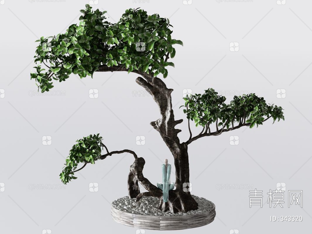 松树盆栽3D模型下载【ID:343320】