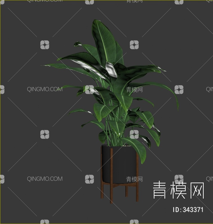 植物盆栽3D模型下载【ID:343371】