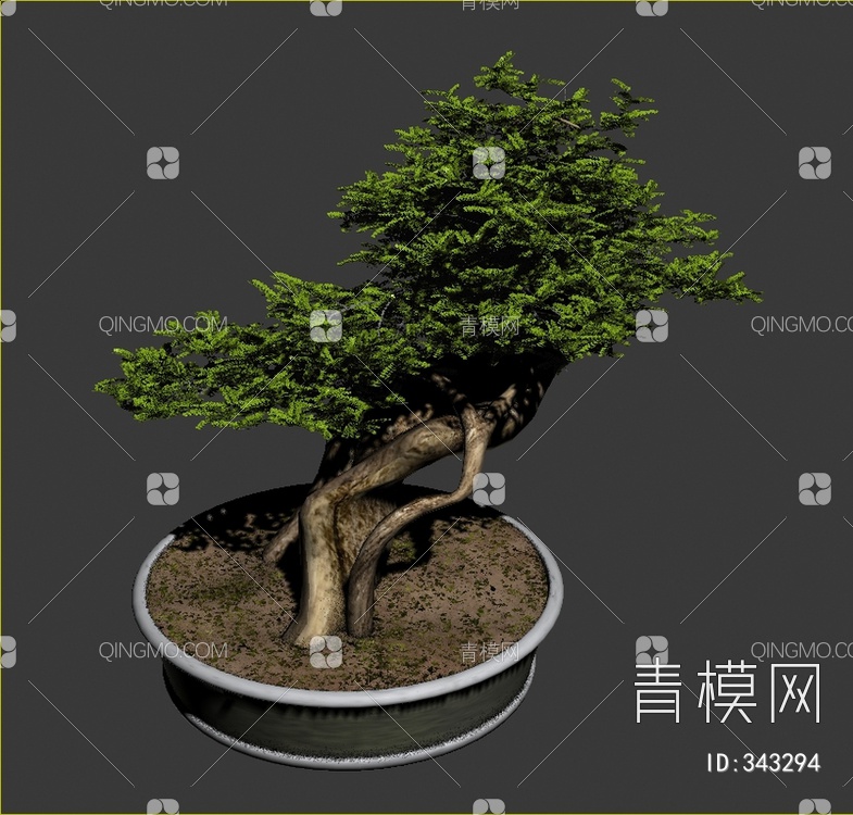 松树盆栽3D模型下载【ID:343294】
