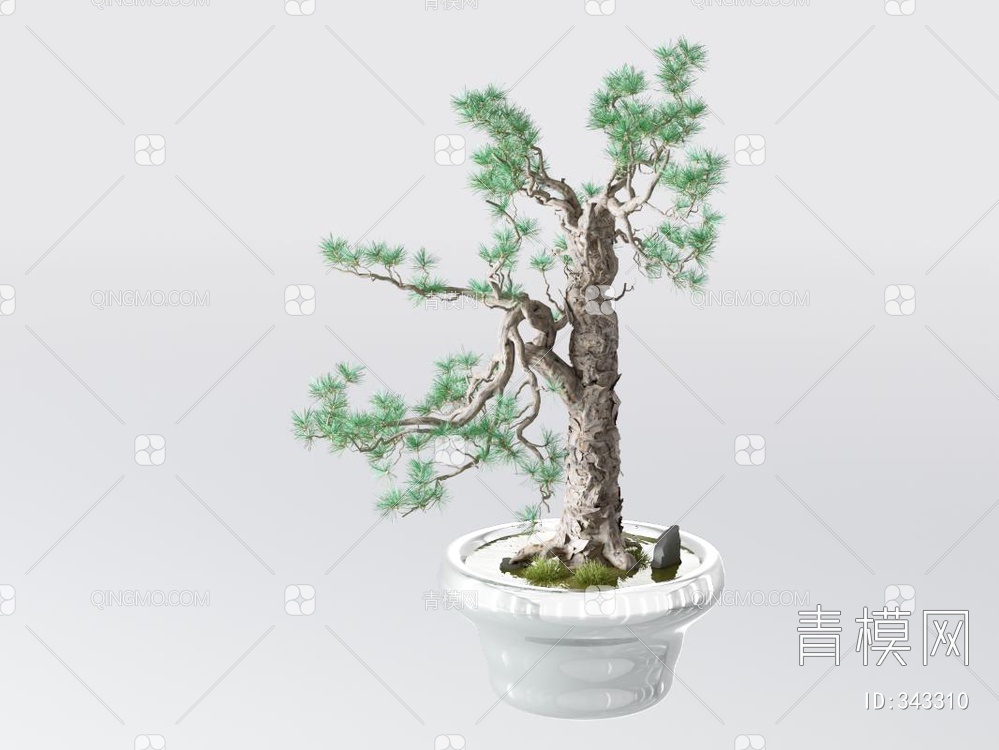 松树盆景3D模型下载【ID:343310】