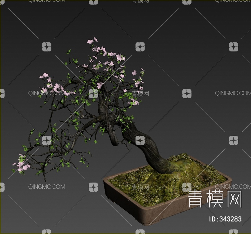松树盆栽3D模型下载【ID:343283】