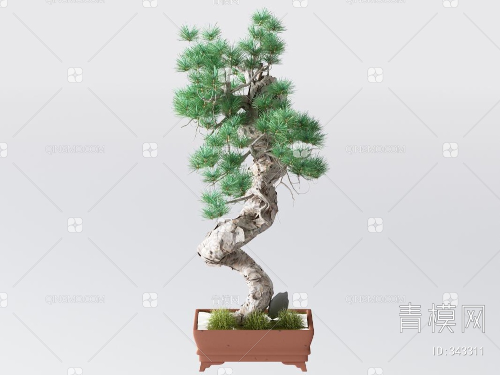 松树盆景3D模型下载【ID:343311】