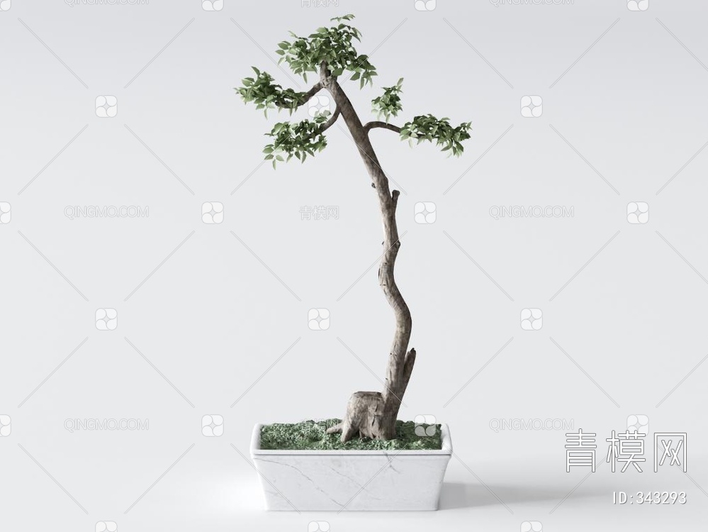 松树盆栽3D模型下载【ID:343293】