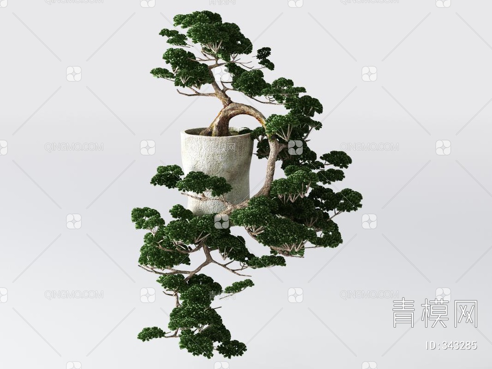 松树盆栽3D模型下载【ID:343285】