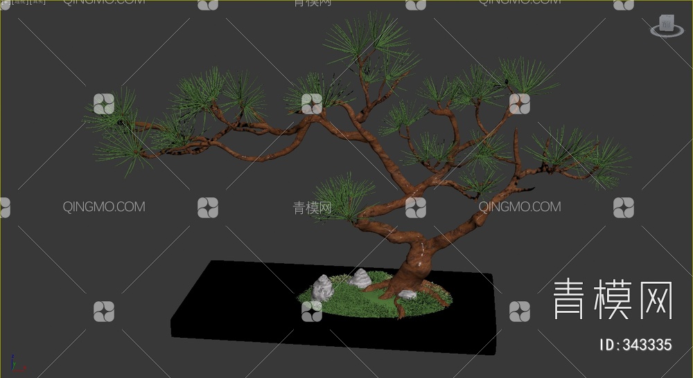 松树盆栽3D模型下载【ID:343335】