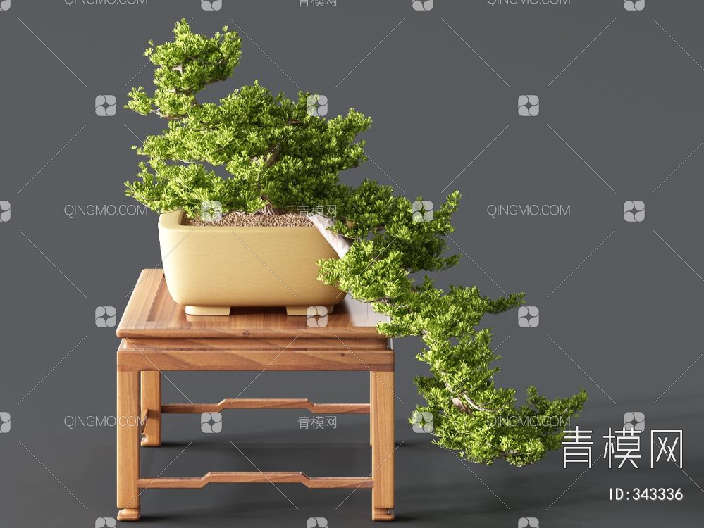 松树盆栽3D模型下载【ID:343336】