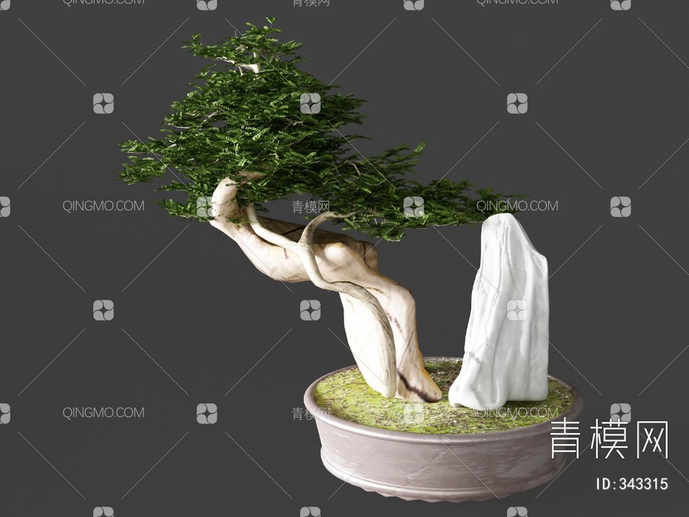 松树盆栽3D模型下载【ID:343315】