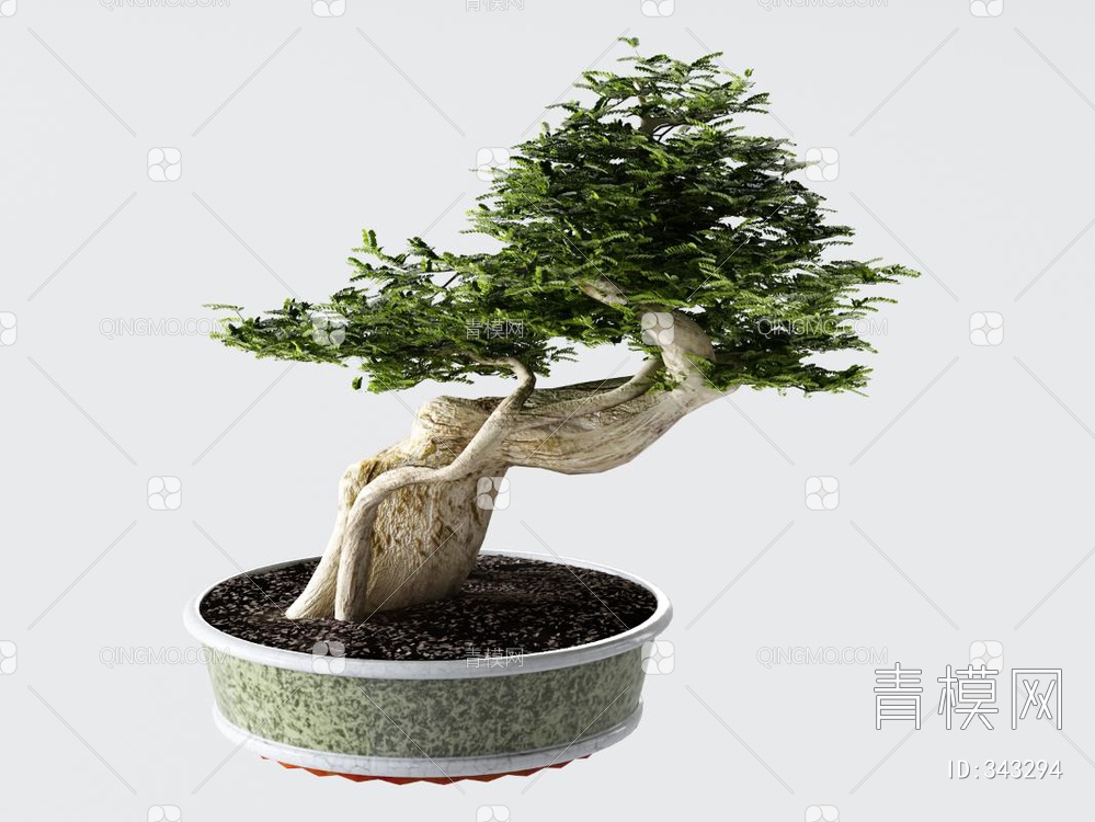 松树盆栽3D模型下载【ID:343294】